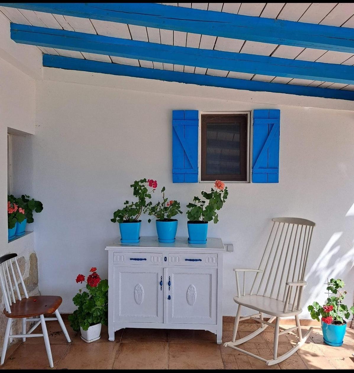 Etno House Happy Village Cetinje Kültér fotó